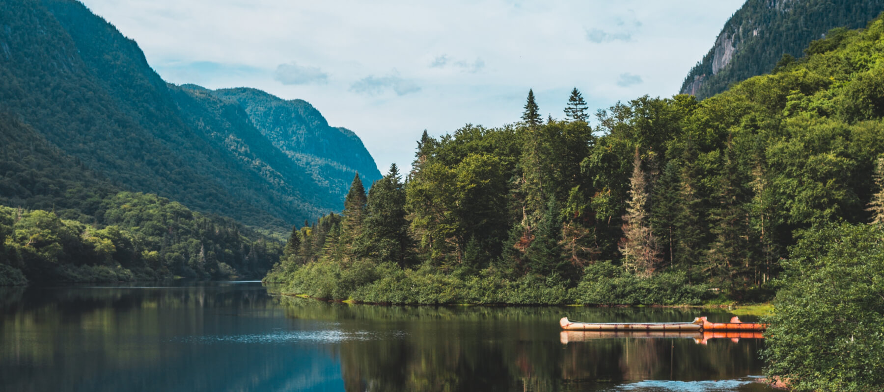 lake in the forest